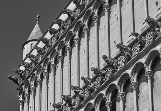 Dijon   |   15  /  22    |